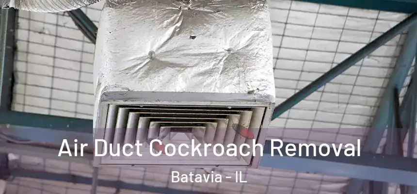 Air Duct Cockroach Removal Batavia - IL