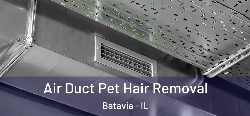  Air Duct Pet Hair Removal Batavia - IL