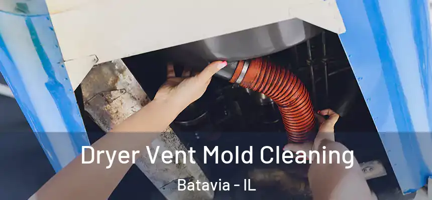 Dryer Vent Mold Cleaning Batavia - IL