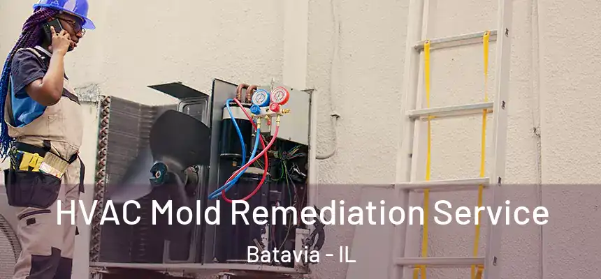  HVAC Mold Remediation Service Batavia - IL
