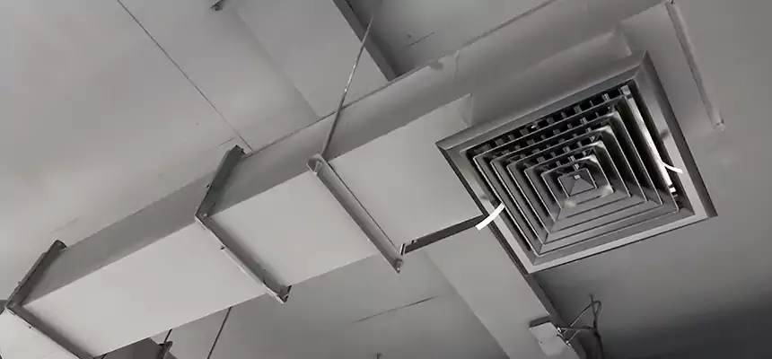 Our Rodent Droppings In Vents Services in Batavia, IL