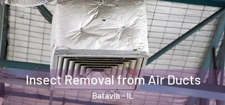  Insect Removal from Air Ducts Batavia - IL