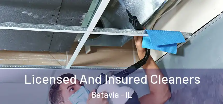 Licensed And Insured Cleaners Batavia - IL