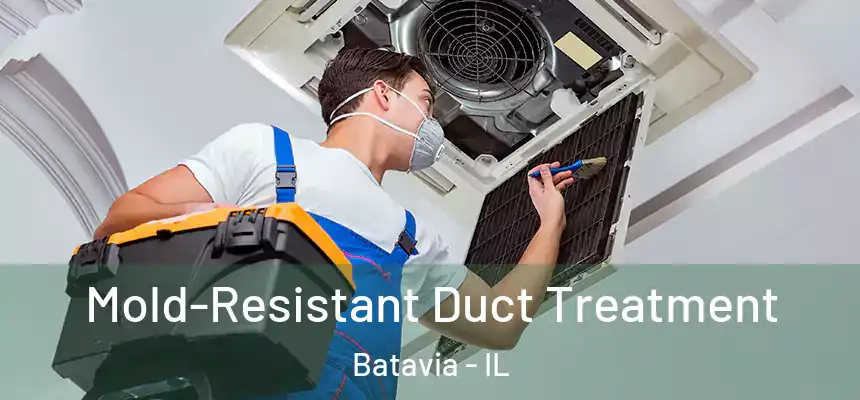  Mold-Resistant Duct Treatment Batavia - IL