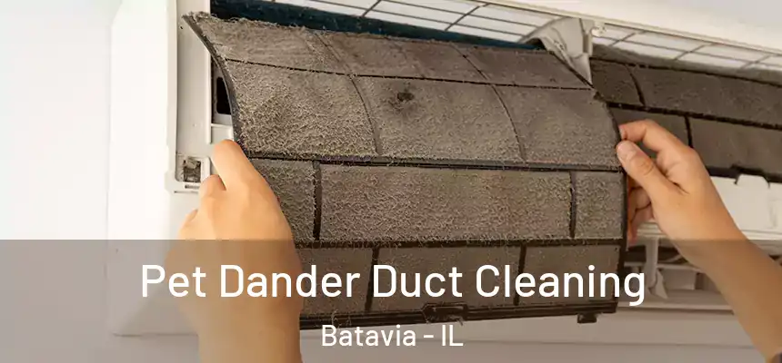 Pet Dander Duct Cleaning Batavia - IL