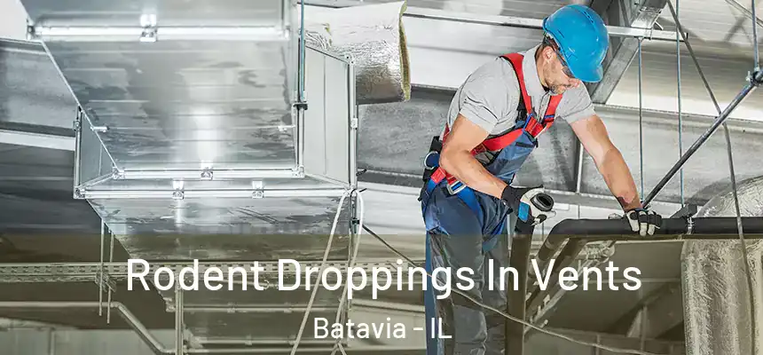  Rodent Droppings In Vents Batavia - IL