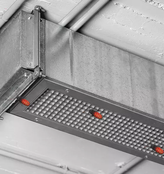 About Air Duct Cockroach Removal in Batavia, IL