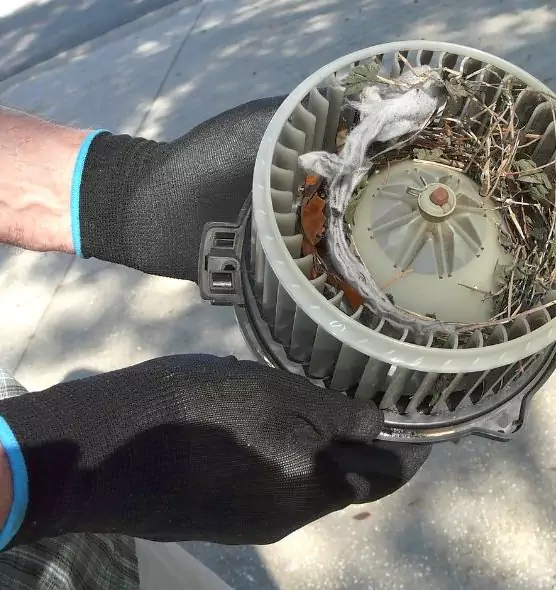 About Air Duct Mice Removal in Batavia, IL