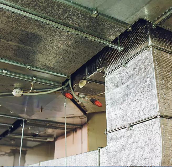 Why Homeowners & Businesses Trust Us in Batavia, IL?