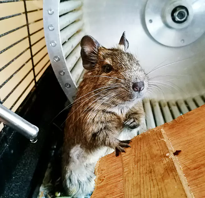 Why Homeowners & Businesses Trust Us Batavia, IL?